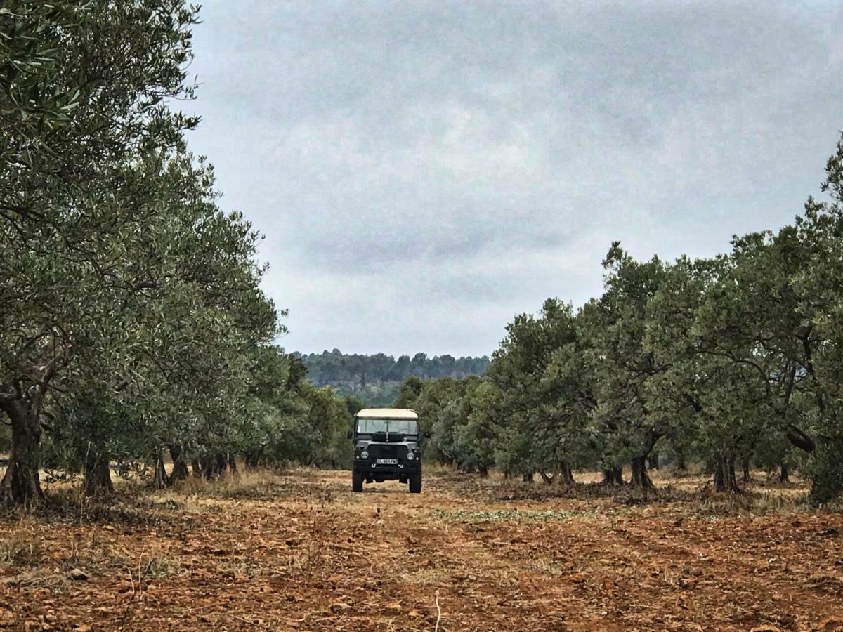 La Rabasse de Gallinette Aups Extérieur photo